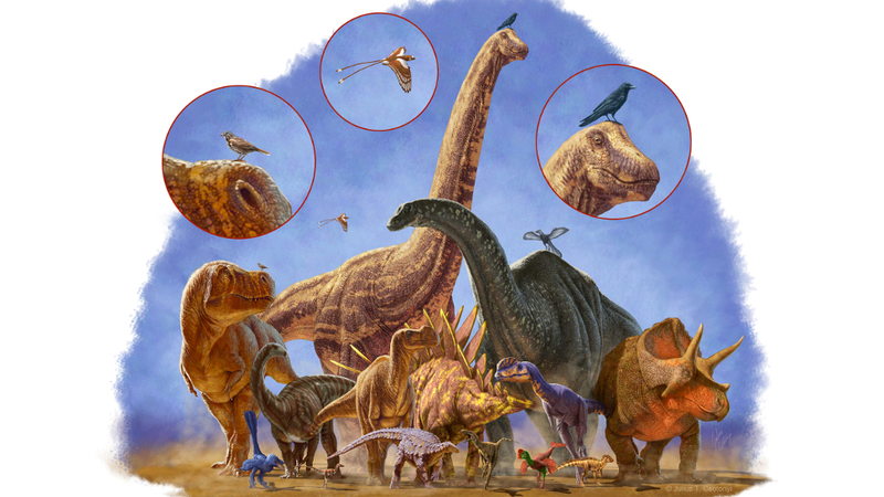 Illustration for article titled Dinosaurs Avoided Total Extinction By Getting Smaller And Smaller
